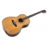 Sire Larry Carlton A4 Parlor NT Natural