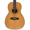 Sire Larry Carlton A4 Parlor NT Natural