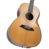 Sire Larry Carlton A4 Parlor NT Natural