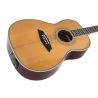 Sire Larry Carlton A4 Parlor NT Natural