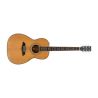 Sire Larry Carlton A4 Parlor NT Natural