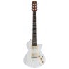 Sire Larry Carlton I5H Inca Silver