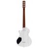Sire Larry Carlton I5H Inca Silver