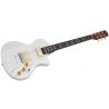 Sire Larry Carlton I5H Inca Silver