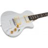 Sire Larry Carlton I5H Inca Silver