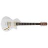 Sire Larry Carlton I5H Inca Silver