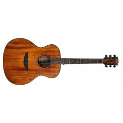 Bromo BAT2m Guitarra Acústica Mahogany