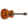 Bromo BAT2m Guitarra Acústica Natural