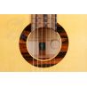 Alhambra GS Flamenco Green Sustain con Funda de 25mm de Alhambra