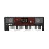 Korg PA700 Oriental Teclado Arreglos
