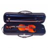 Violín Baldini Bussoni