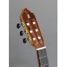 Alhambra 8FC Guitarra Flamenca