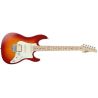 FGN Fujigen Odyssey Boundary Cherry Sunburst