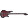 Schecter Hellraiser Extreme-5 CRBS