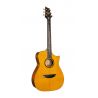 Cort Luxe Ii Nat W Case