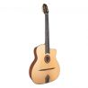 Jose Torres JTG-11-0 Guitarra Gypsy Brillante