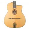 Jose Torres JTG-11-0 Guitarra Gypsy Brillante