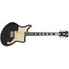 D'angelico Premier Bedford Black Flake