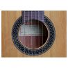 Alhambra 1C HT Electrificada Ez Fishman Clasica II