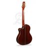 Alhambra Acustica CSs-3 CW E9 CrossOver 