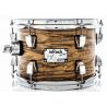 Odery Tom Inrock 8" Gold Tiger