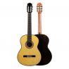 José Rincón MF5 Guitarra Flamenca Palosanto Tapa Maciza
