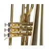 Amadeus TRB400 Trombón de Tres Pistones