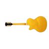 D'Angelico Excel 16 Amber Guitarra Eléctrica