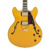 D'Angelico Deluxe DC Amareto Burst Guitarra Eléctrica