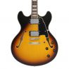 D'Angelico Premier DC Vintage Sunburts