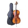 Carlo Giordano Cello Sc100 1 2