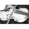 Prodipe VL-21C Microfono para violines y violas