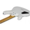 Schecter C-6 Deluxe Swht