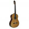  Antonio de Toledo José María Gallardo del Rey Palosanto de Patagonia Guitarra clásica 