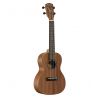 Alvarez RU22C Regent concierto