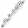 PEARL QUANTZ BREZZA B665RBE-HC CABEZA PLATA Y PATA DE SI Flauta Travesera