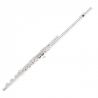 PEARL QUANTZ BREZZA B665RBE-HC CABEZA PLATA Y PATA DE SI Flauta Travesera
