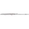 PEARL QUANTZ BREZZA B505RE-HC DESALINEADA PATA DE DO