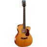 Cort Gold-Oc6 Elect Nat Gloss
