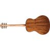 Washburn Wlo12se Woodline Mahogany Guitarra Electroacústica