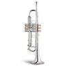Stomvi Elite 330ml Trompeta Sib