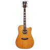D'angelico Premier Bowery Vintage Natural