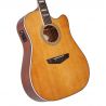 D'angelico Premier Bowery Vintage Natural