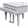 Roland GP-9M PW