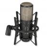 AKG P220 Perception