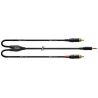 Cordial CFY6WCC Y Minijack Estéreo 2 RCA 6M Cable