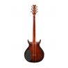 Washburn H10TS-U Wing Series Hawk Tobacco Burst Guitarra Eléctrica