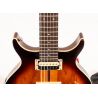 Washburn H10TS-U Wing Series Hawk Tobacco Burst Guitarra Eléctrica