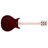 Washburn R5TS-U Raven ’78 Tobacco Burst Guitarra Eléctrica