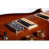 Washburn R5TS-U Raven ’78 Tobacco Burst Guitarra Eléctrica